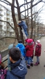 čištění budek 